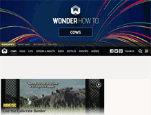 Tablet Screenshot of cows.wonderhowto.com