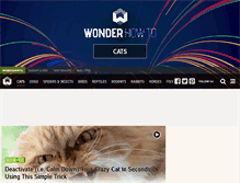 Tablet Screenshot of cats.wonderhowto.com